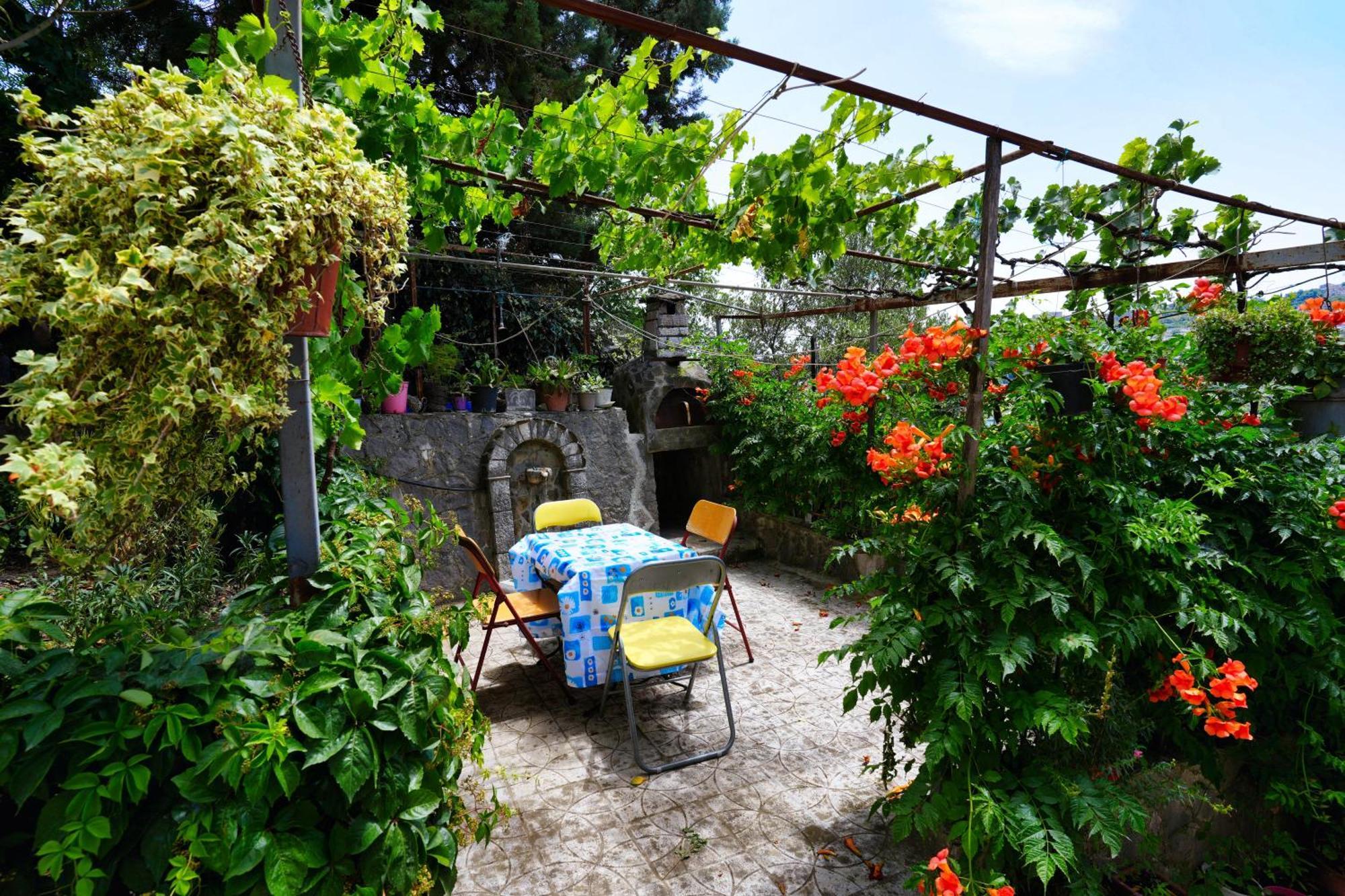 Vila Banushi Gjirokastër Esterno foto