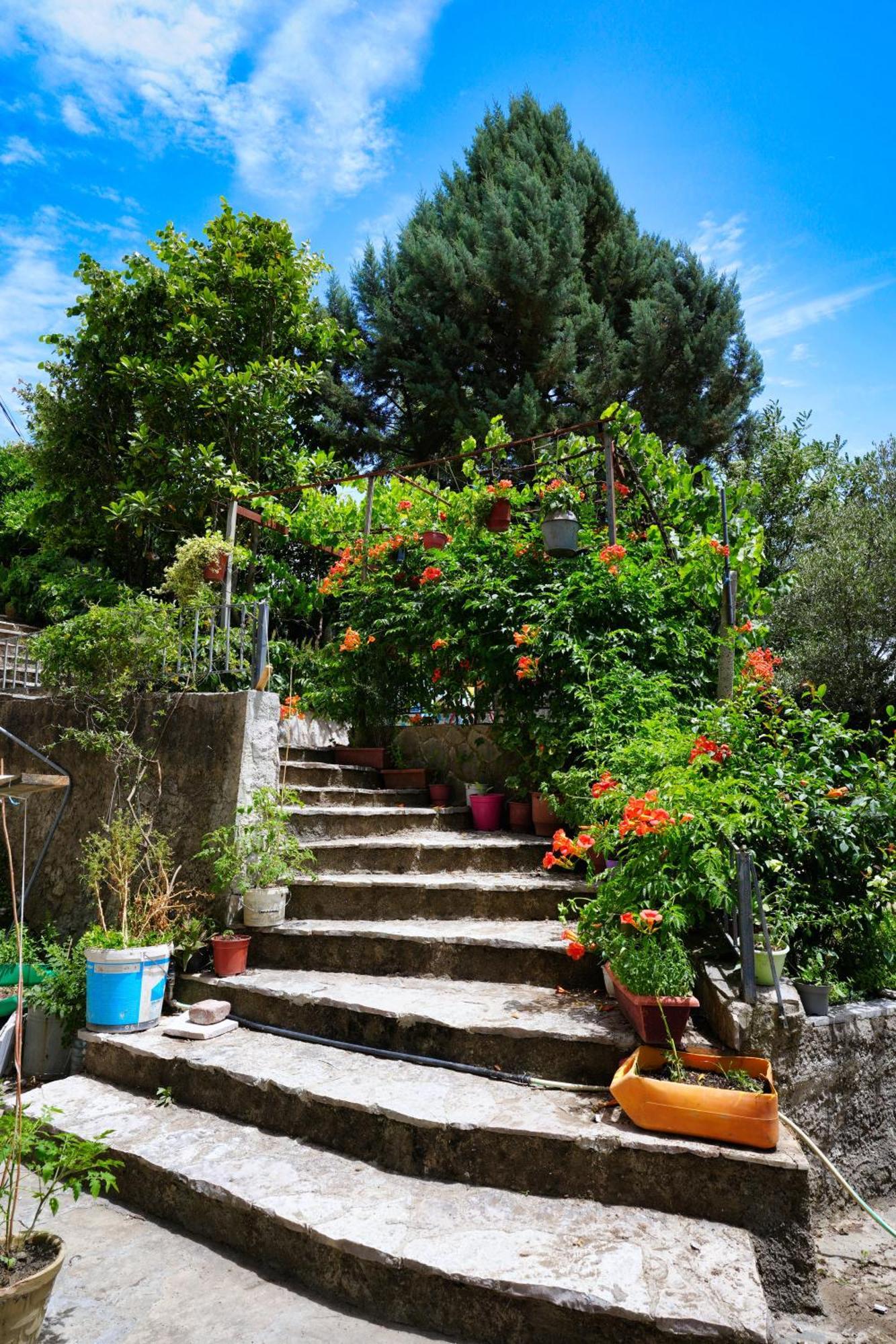 Vila Banushi Gjirokastër Esterno foto